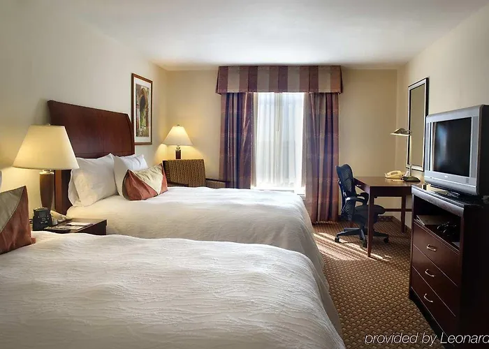 Hotel Hilton Garden Killeen