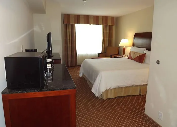 Hotel Hilton Garden 3*